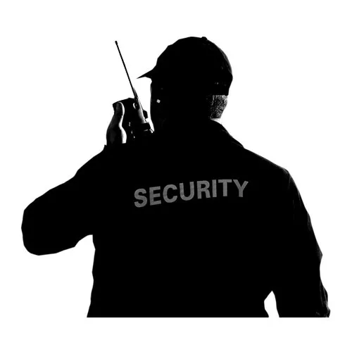 Professional security guard